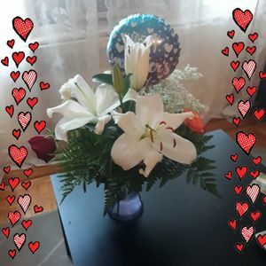 Meet your Posher, Daniela